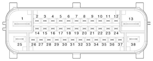 G13540578