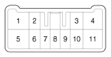 G13543446