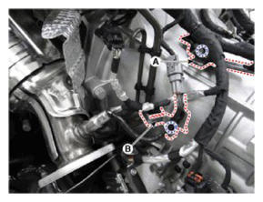 G13543585