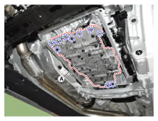G13543897