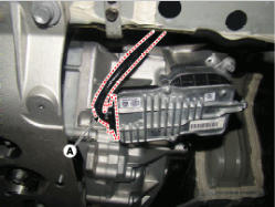 G13547442