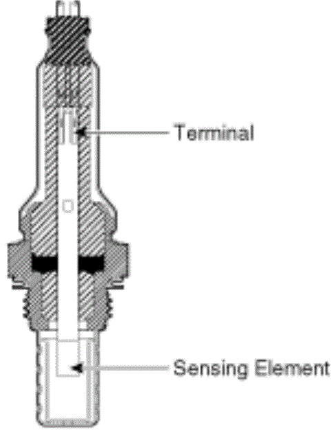 G13547554