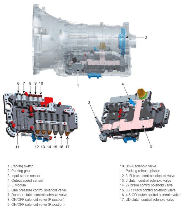 G13547797