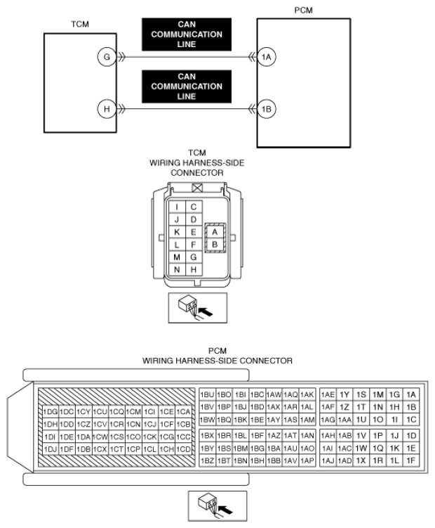 G13556265