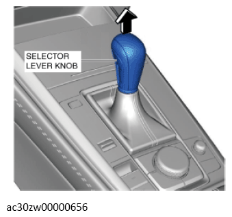 G13558913