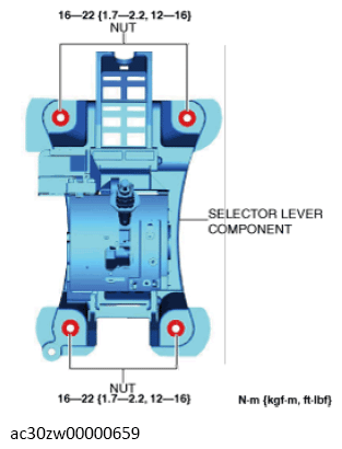G13558916