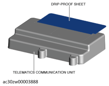 G13561233