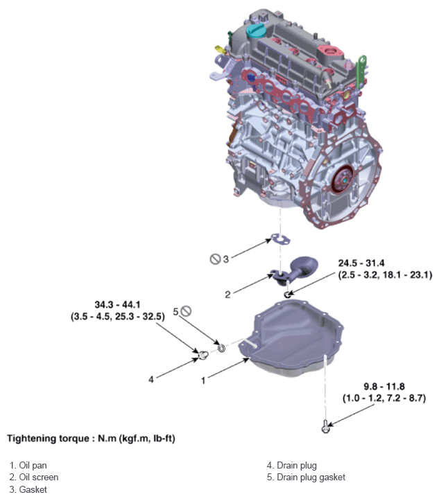 G13562651
