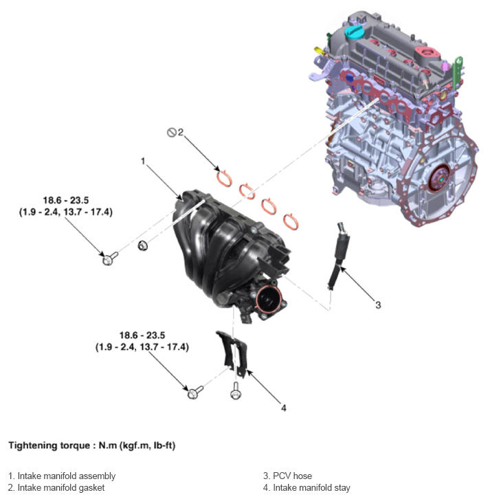 G13562663