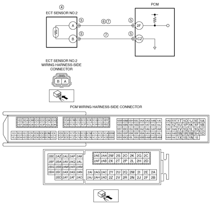 G13569205