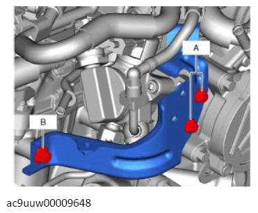 G13569874