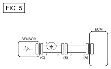 G13575956