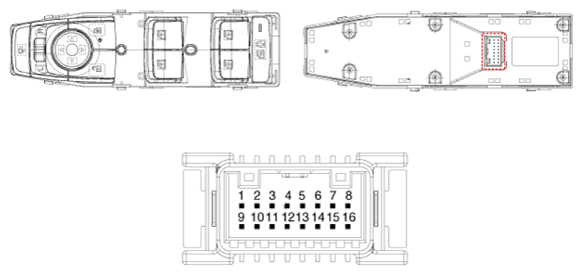 G13578654