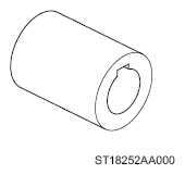 G13590569