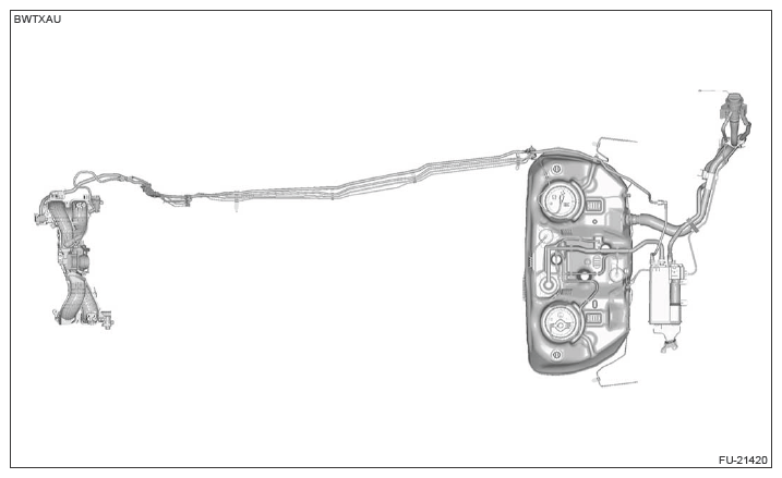 G13619806