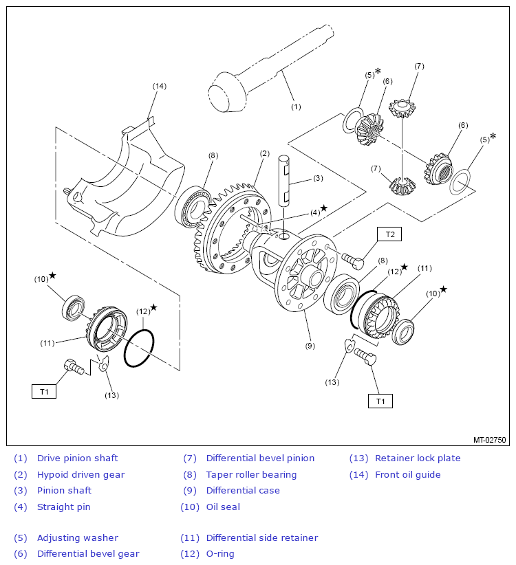 G13647590