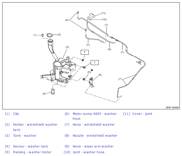 G13648875