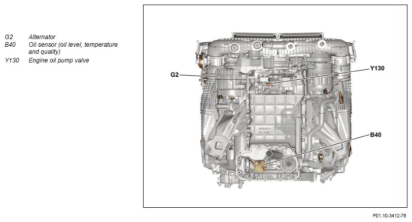 G13655921