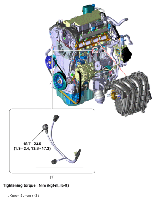 G13661134