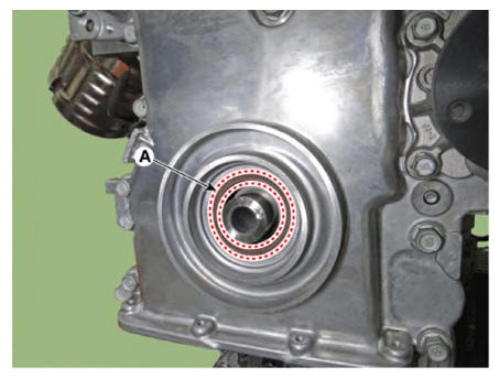 G13704394