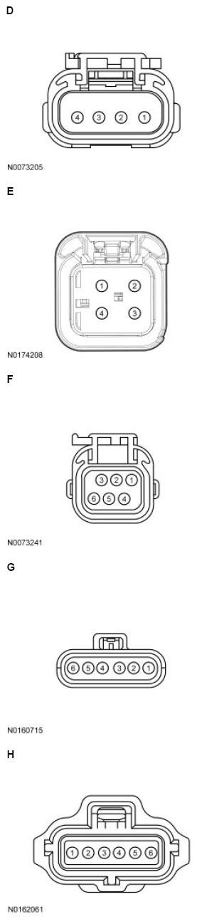 G13711336
