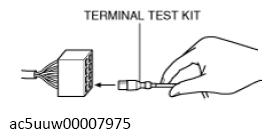 G13724181