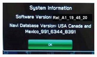 G13785998