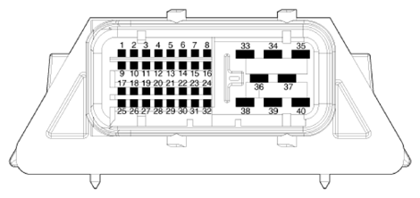 G13834286