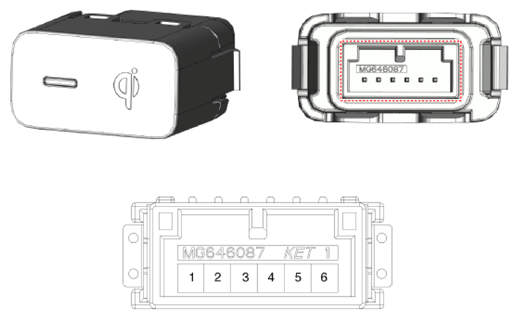 G13835941