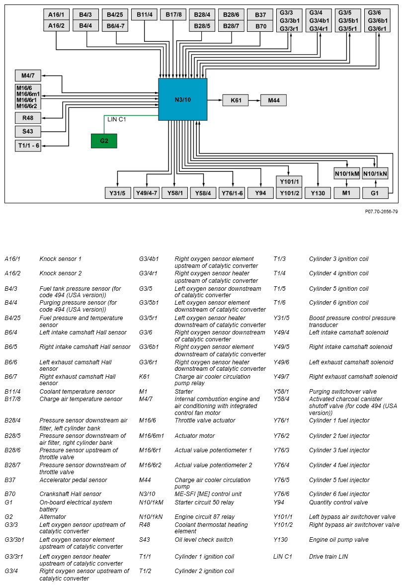 G13845339