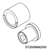 G13868560