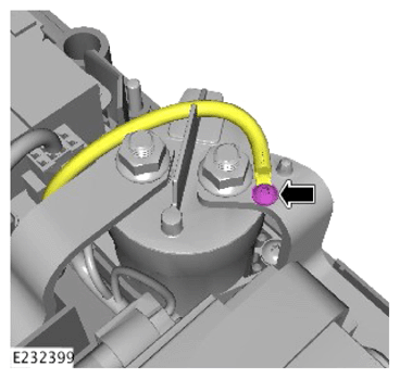 G13923529