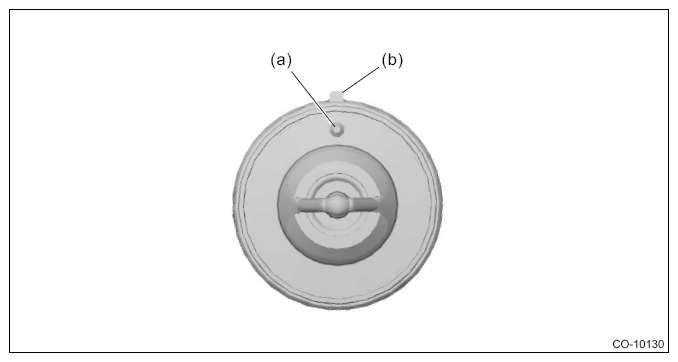 G13949281