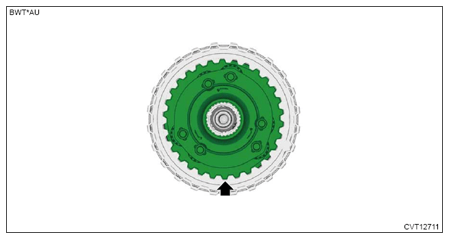 G13950798