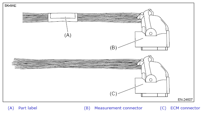 G13954660