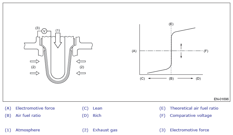 G13954784