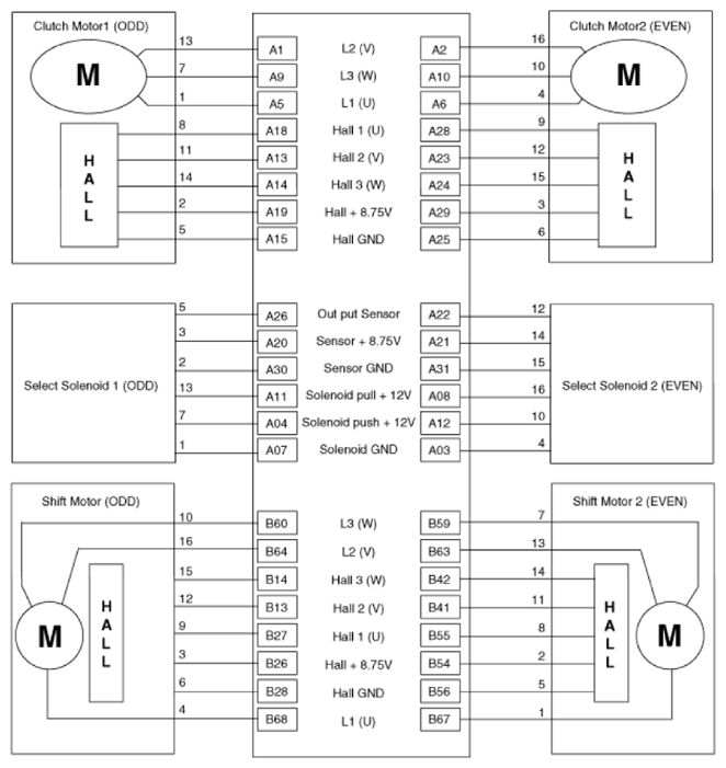 G14116904