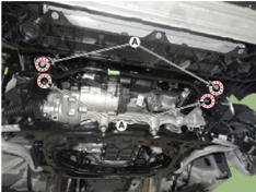 G14176586