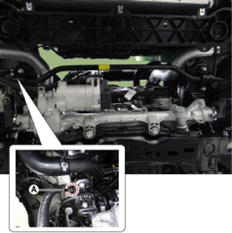 G14176589