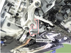 G14176594