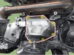 G14179529