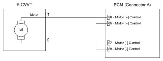 G14537914