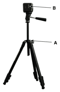 G14557774