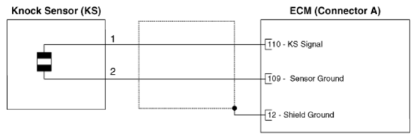 G14607594