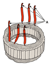 G14752884