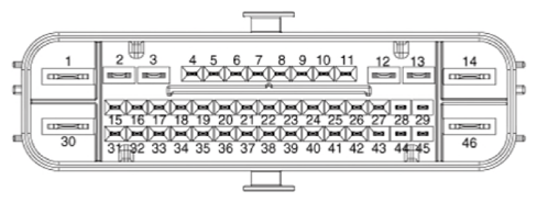 G14775816