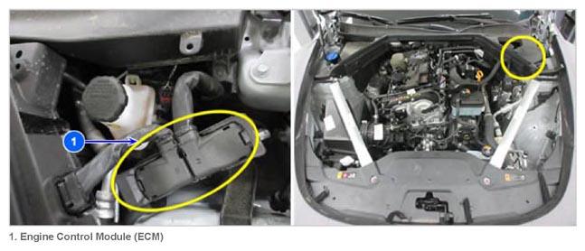 G14973116
