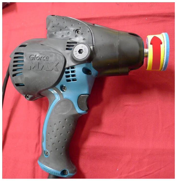 G15199621