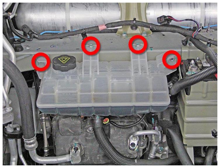 G15207264