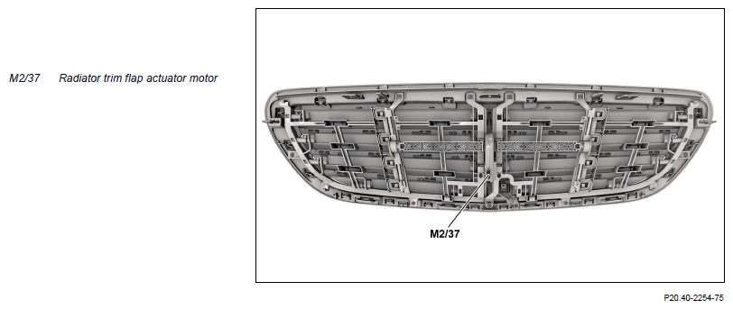 G15379536